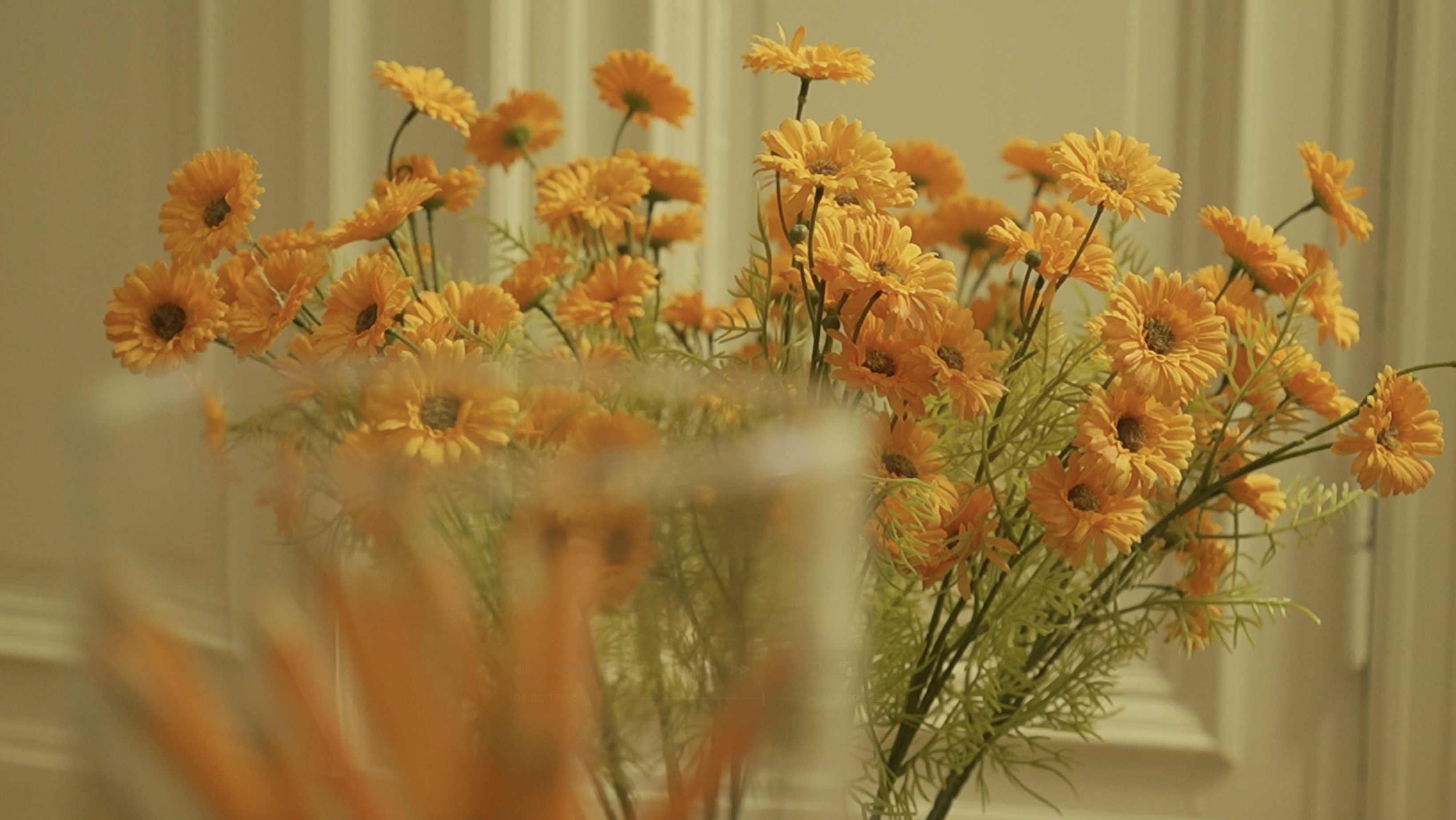 Schärfenverlagerung – Arbeitsproben 1