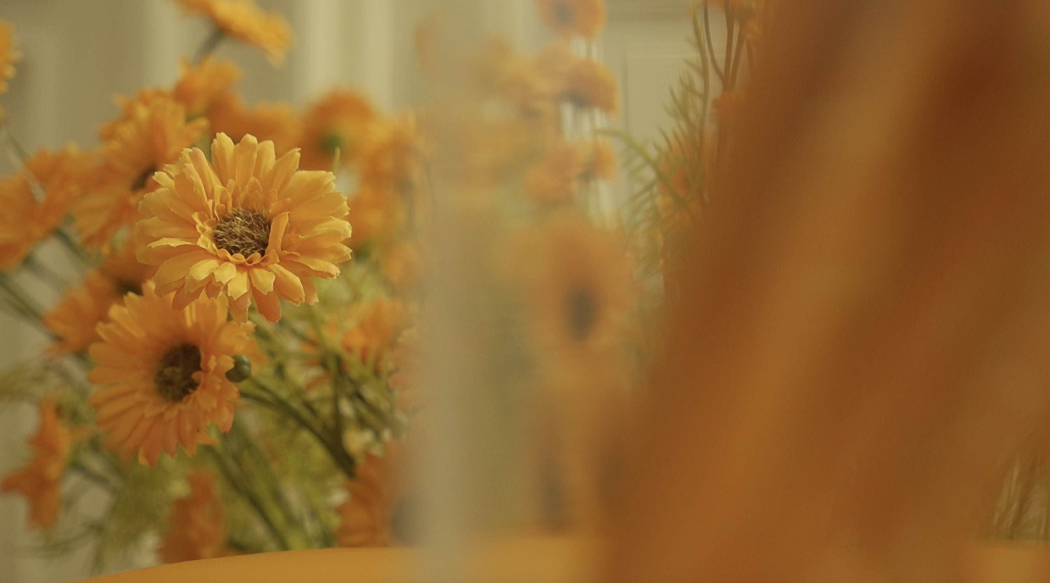 Schärfenverlagerung – Arbeitsproben 4